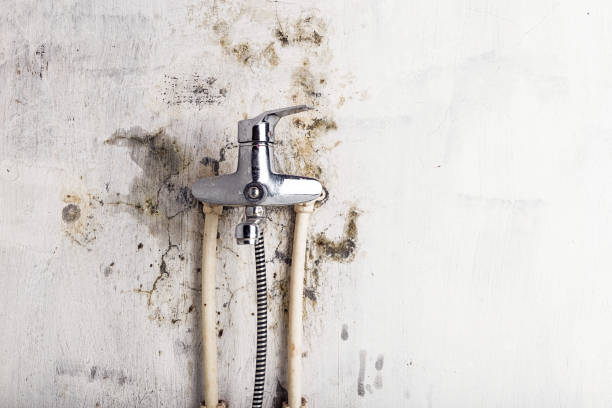 Best Residential Mold Removal  in Lincolnshire, IL